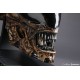 Alien 3 Replica 1/1 Dog Alien Head 40 cm